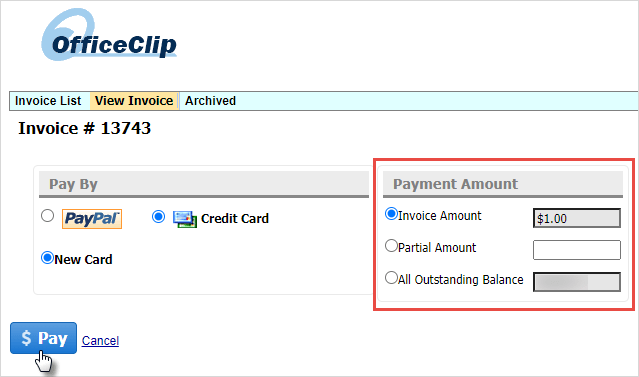 invoice credit card payment