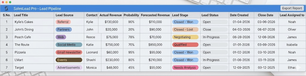 Lead Management Template Preview